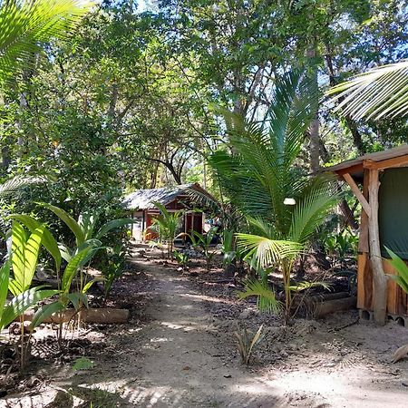 Hotel Fully Furnished Family Jungle Tent, Latino Glamping Paquera Exterior foto