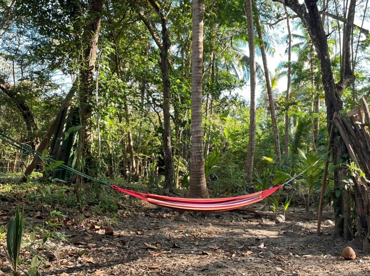 Fully Furnished Family Jungle Tent, Latino Glamping Paquera Exterior foto