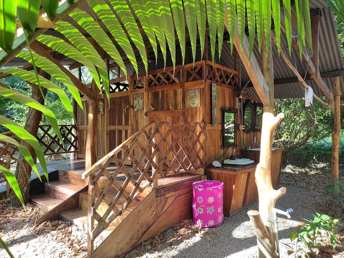 Hotel Fully Furnished Family Jungle Tent, Latino Glamping Paquera Exterior foto