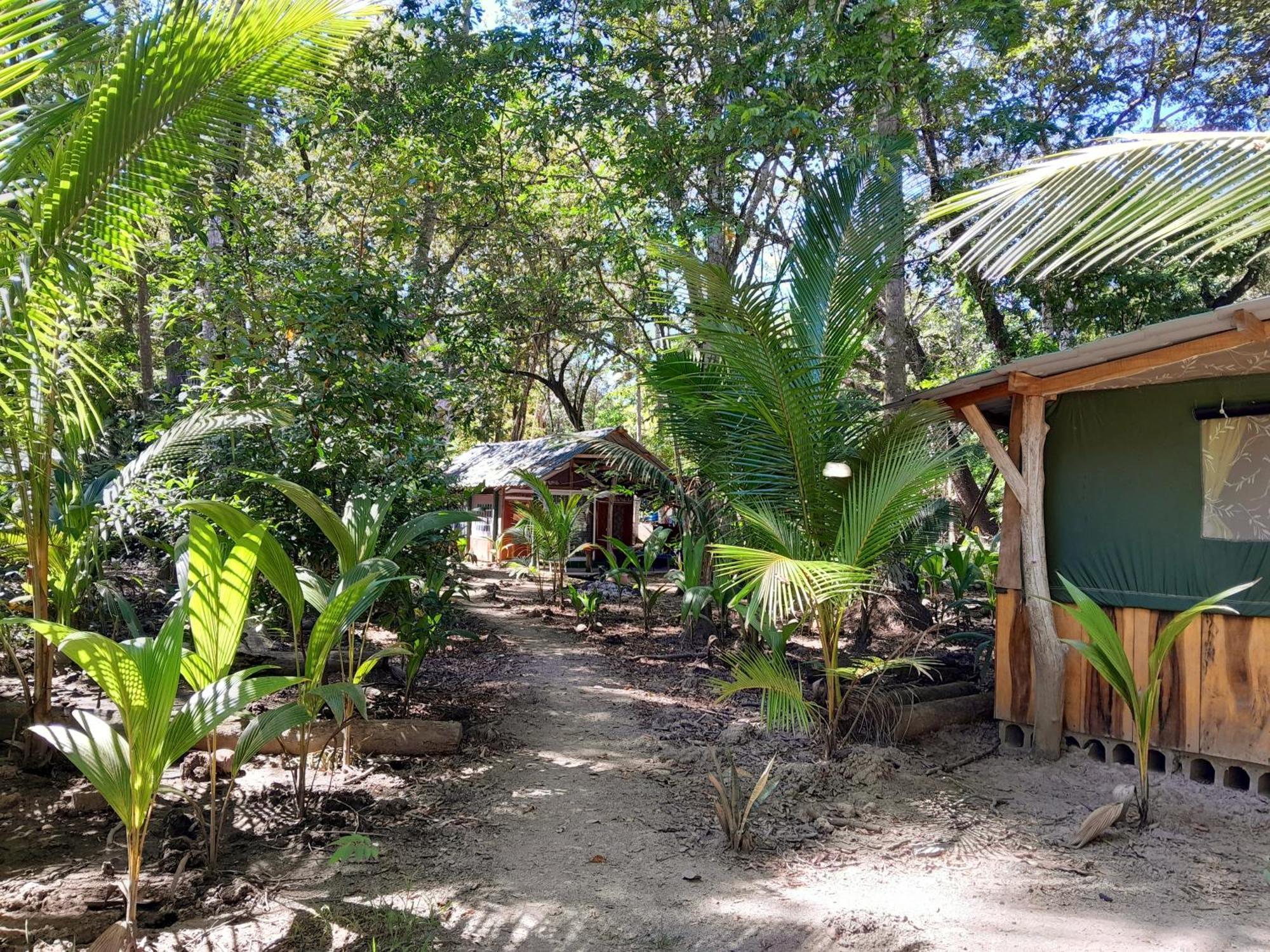 Fully Furnished Family Jungle Tent, Latino Glamping Paquera Exterior foto