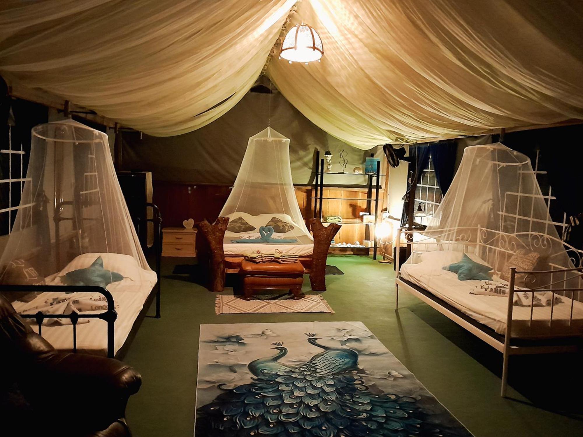 Fully Furnished Family Jungle Tent, Latino Glamping Paquera Exterior foto