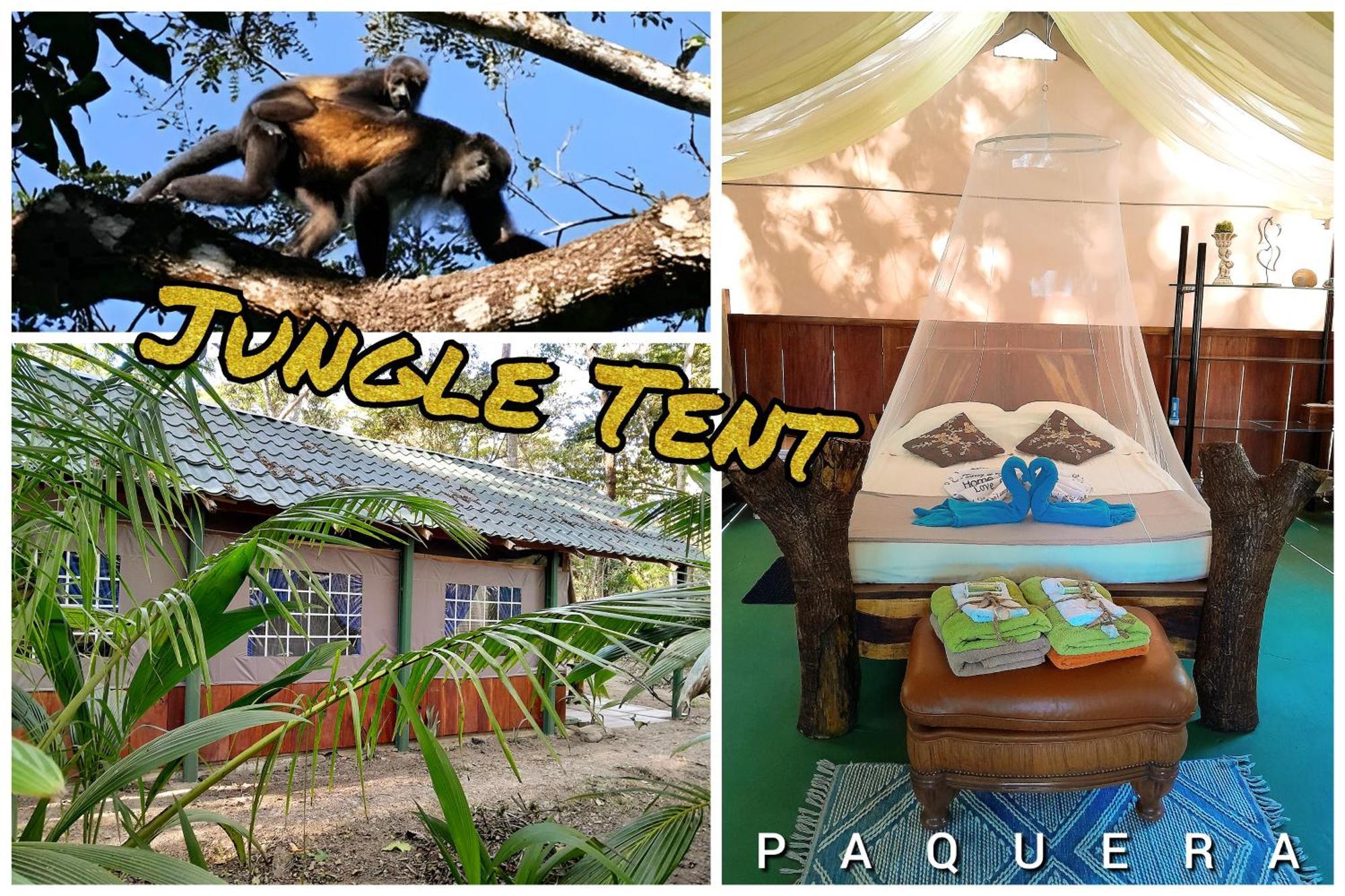 Fully Furnished Family Jungle Tent, Latino Glamping Paquera Exterior foto