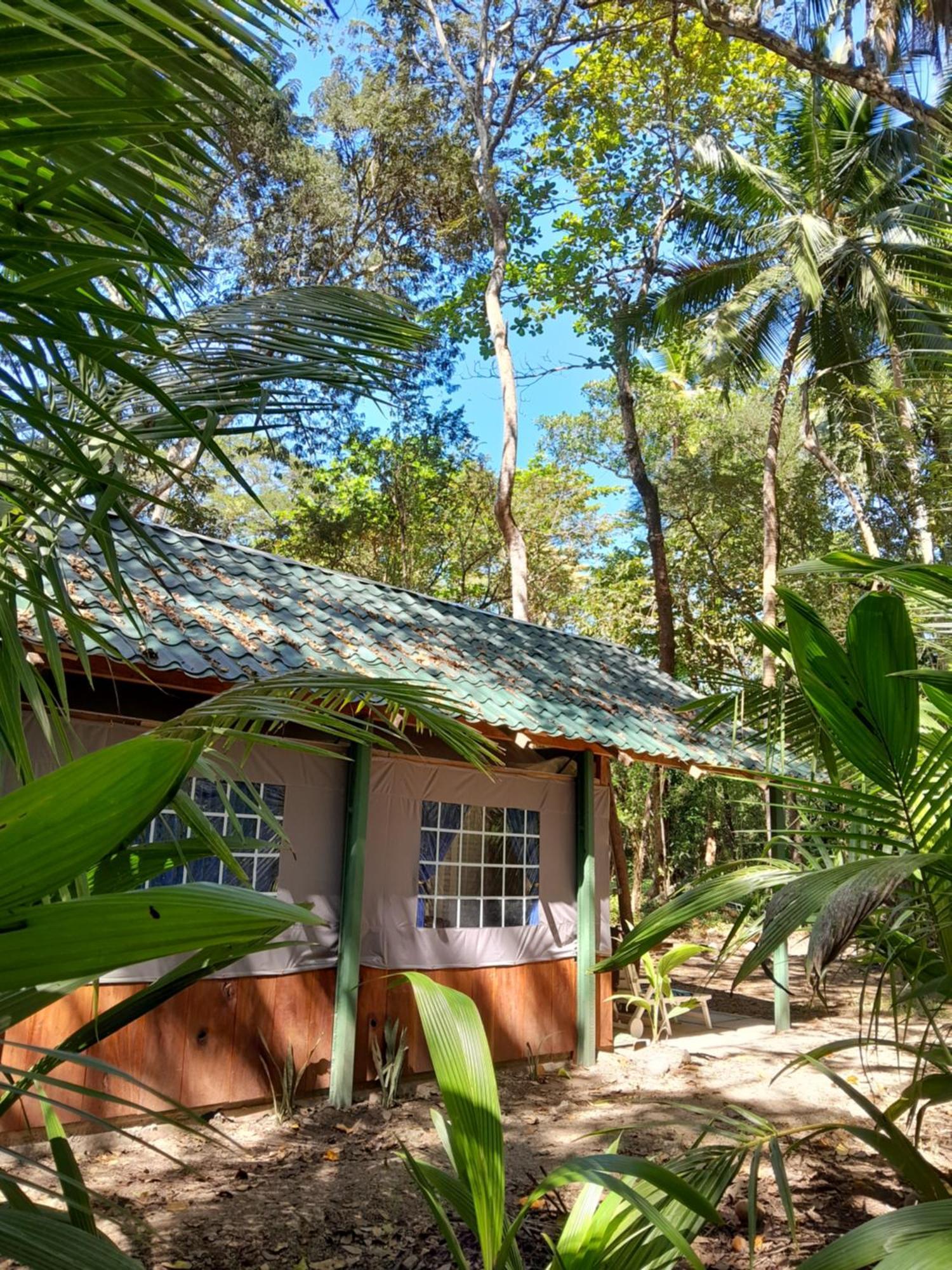 Fully Furnished Family Jungle Tent, Latino Glamping Paquera Exterior foto
