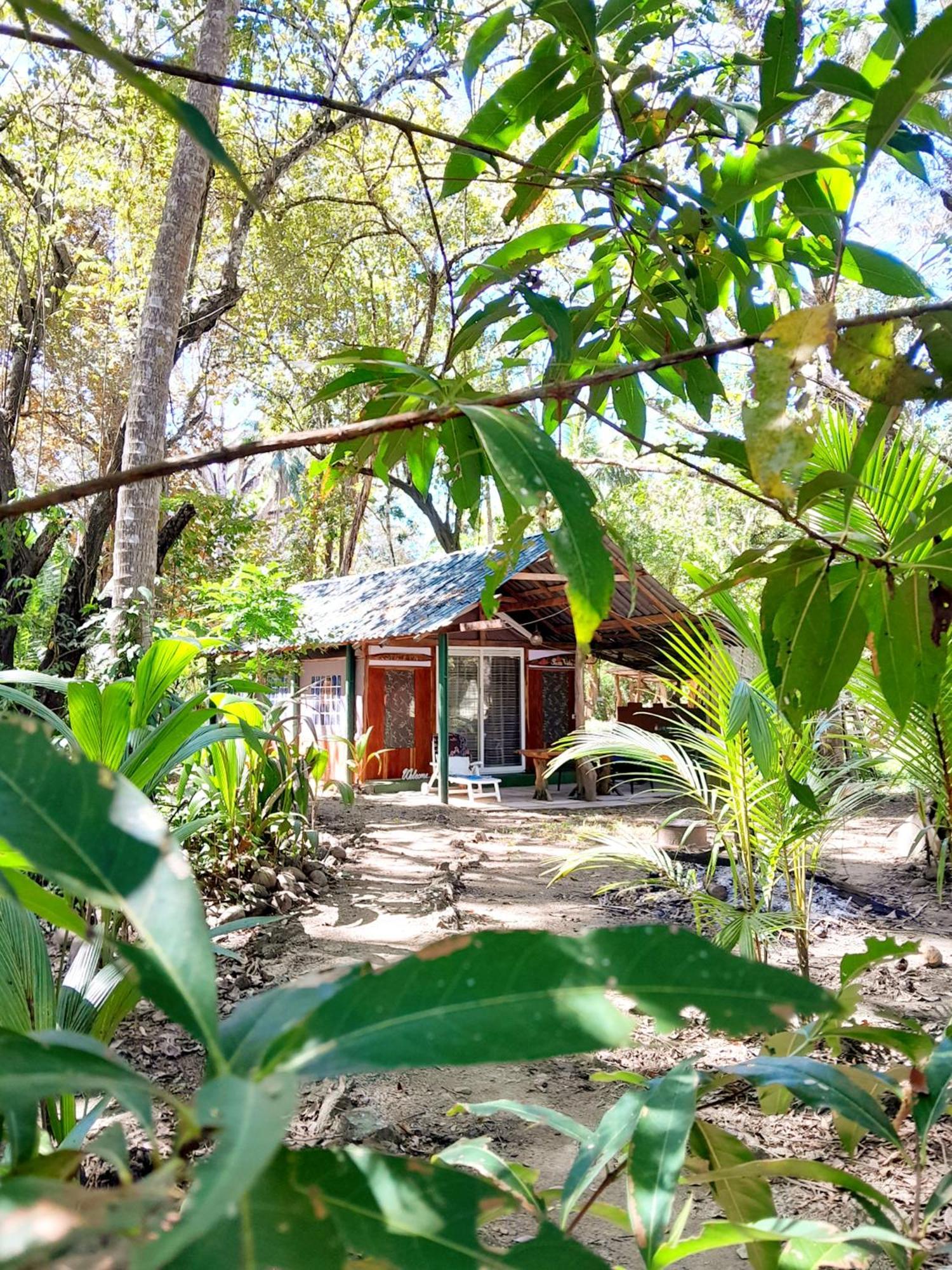 Fully Furnished Family Jungle Tent, Latino Glamping Paquera Exterior foto